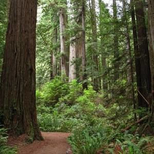 Meet your Posher, Pam